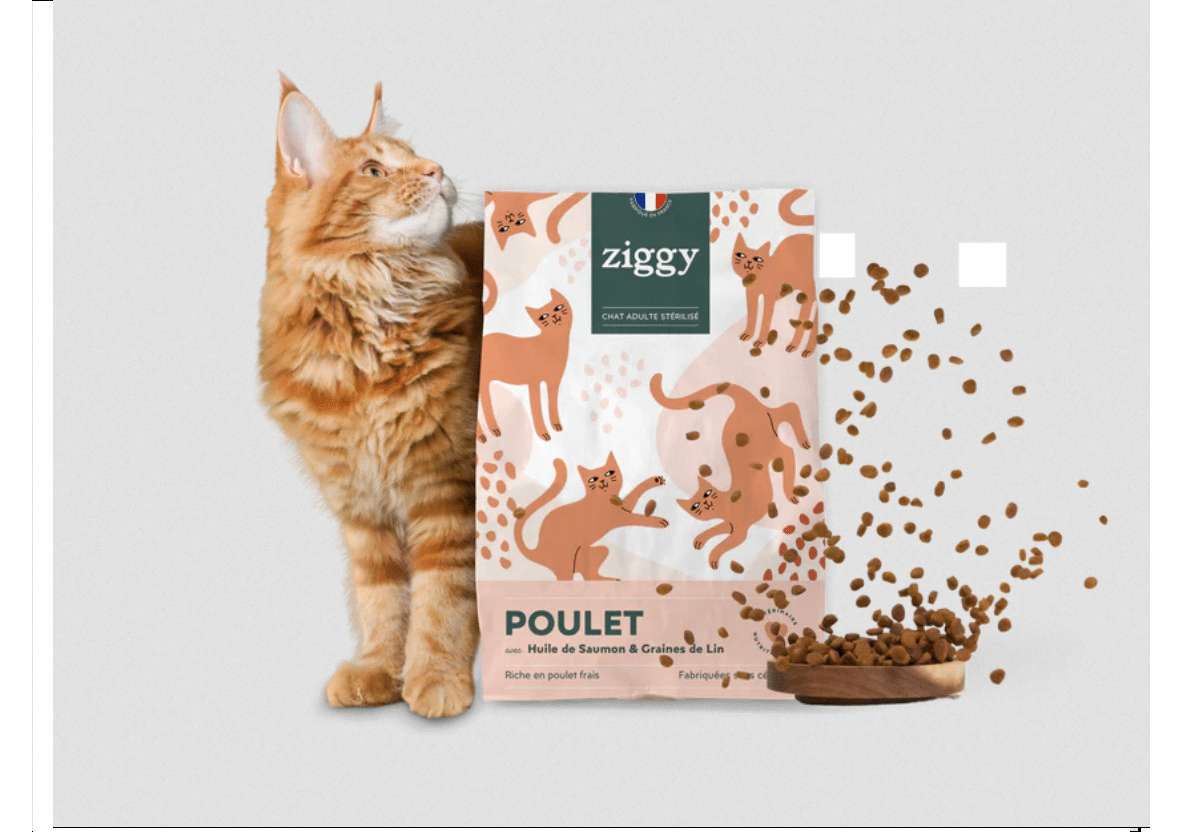 Échantillons gratuits de croquettes pour chat Ziggy su ziggyfamily.com