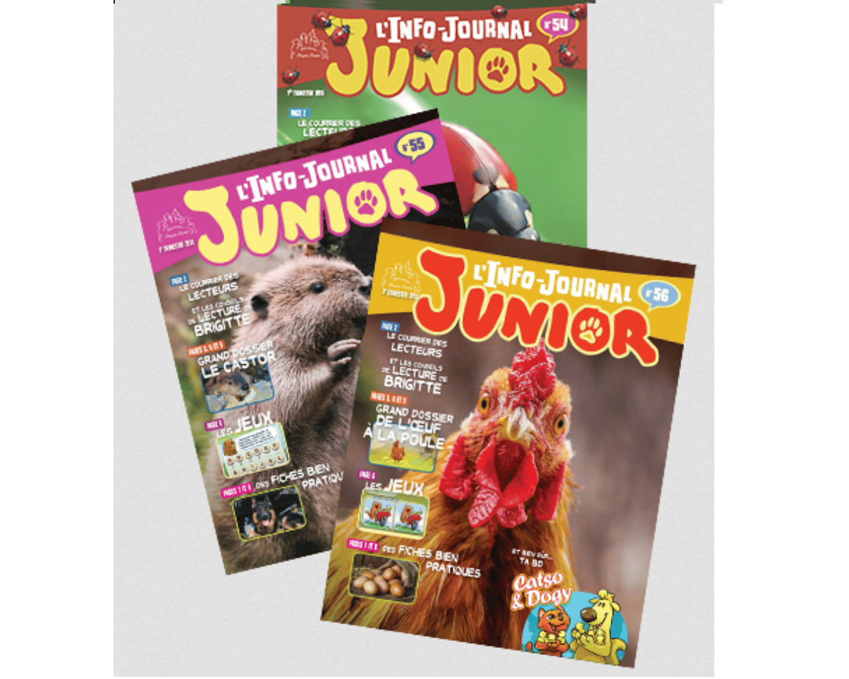 Magazine « L’info-journal junior » gratuit sur fbbjunior.com